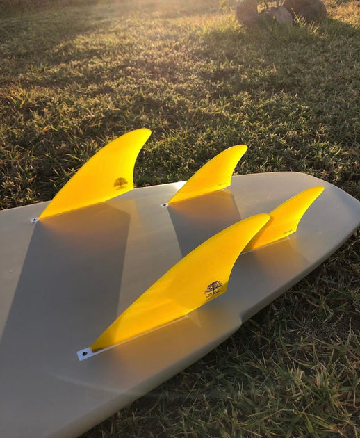 IMG-0978_1200x630.jpg?v=1693956135