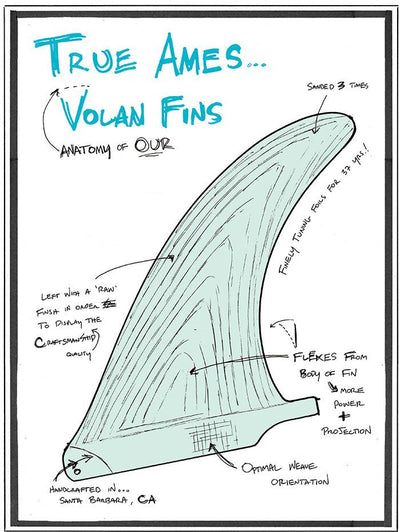 Anatomy of Volan
