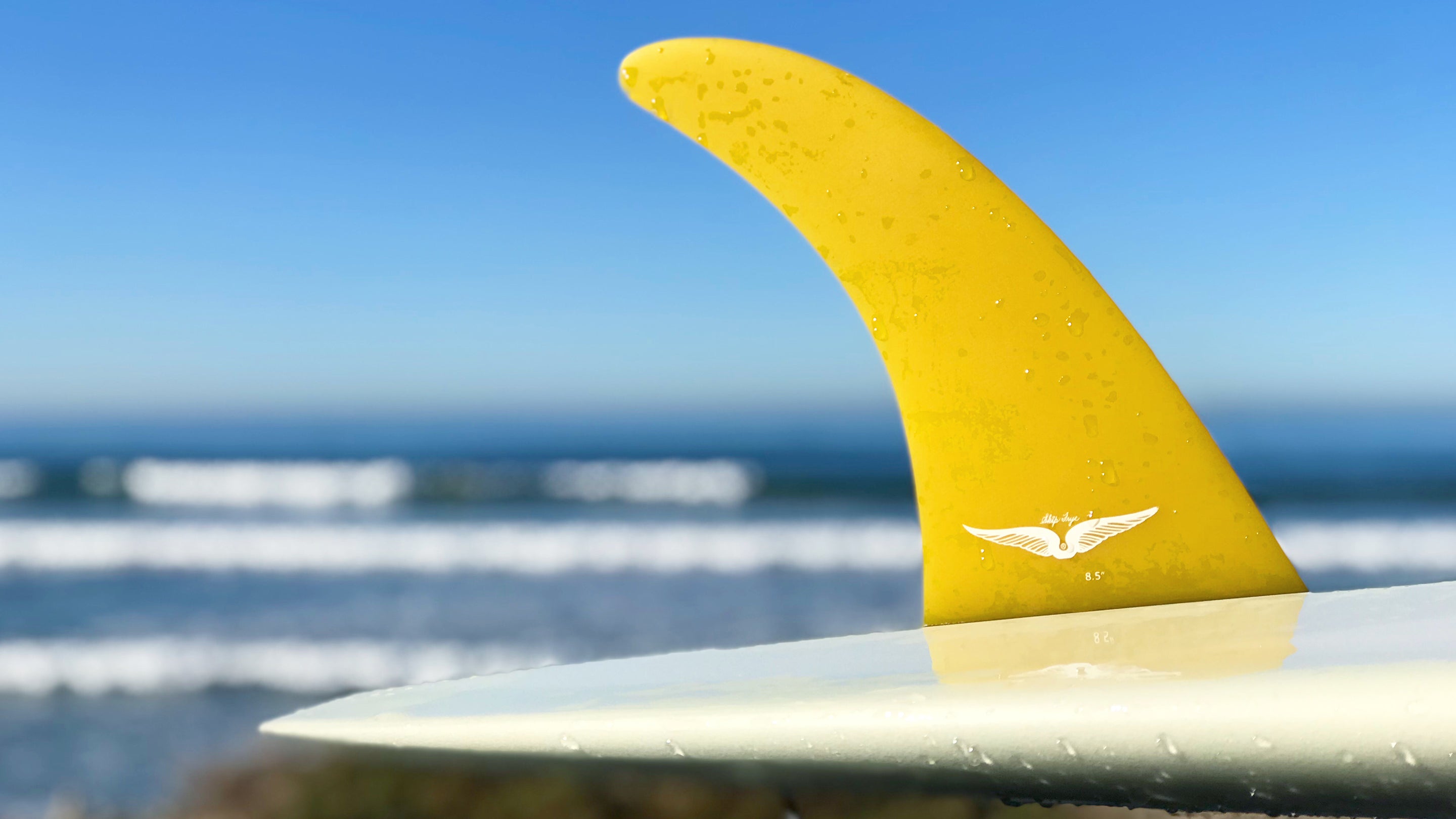 Skip Frye – Tagged 