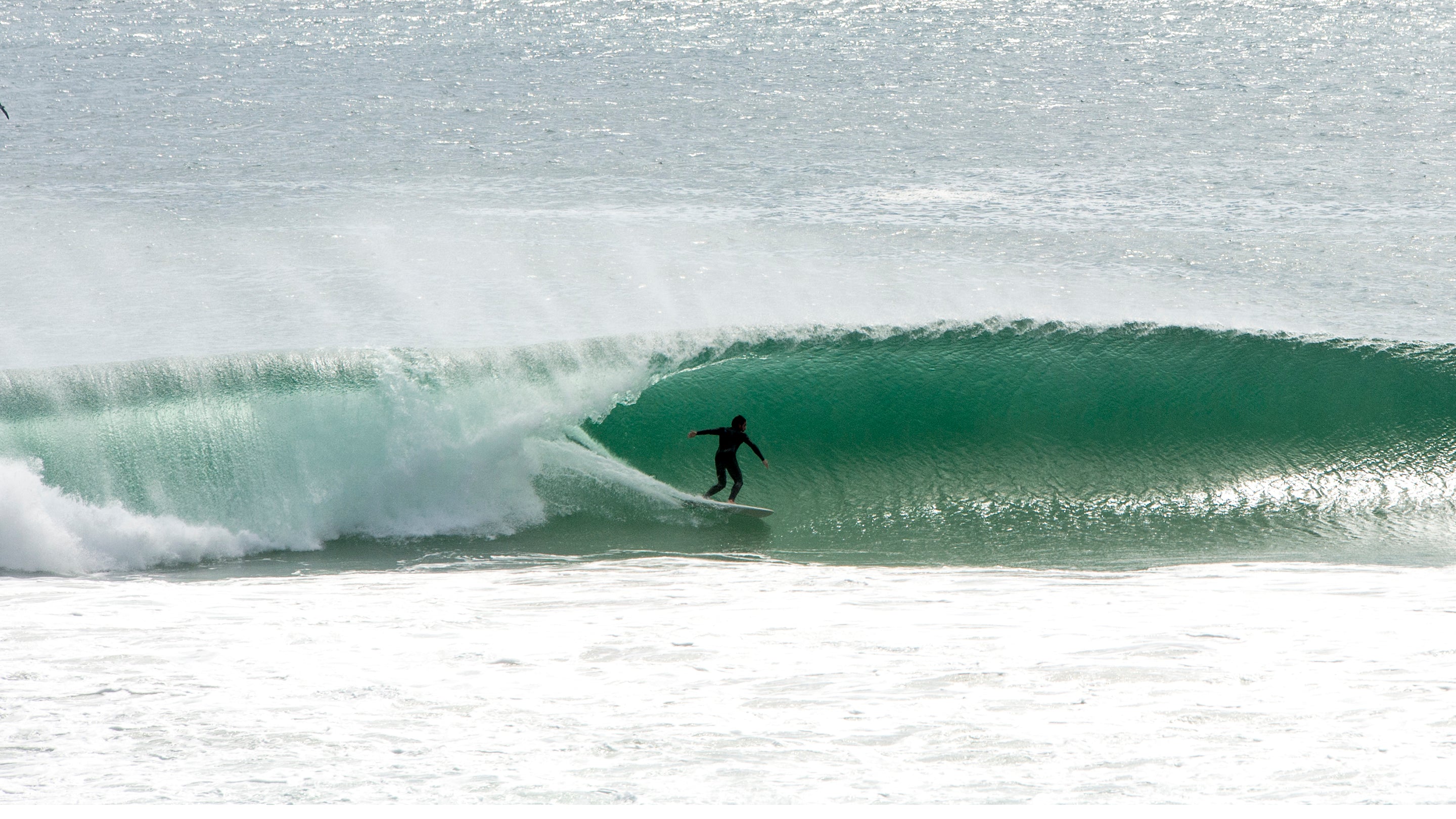 Twin Fins – True Ames